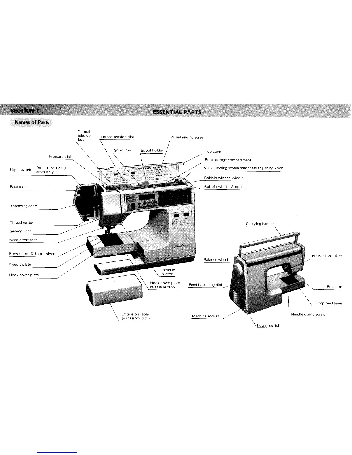 Page #5 background image