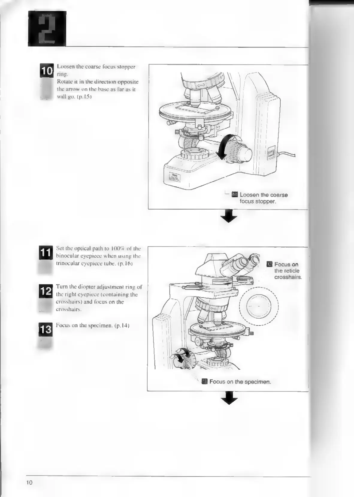 Page #12 background image