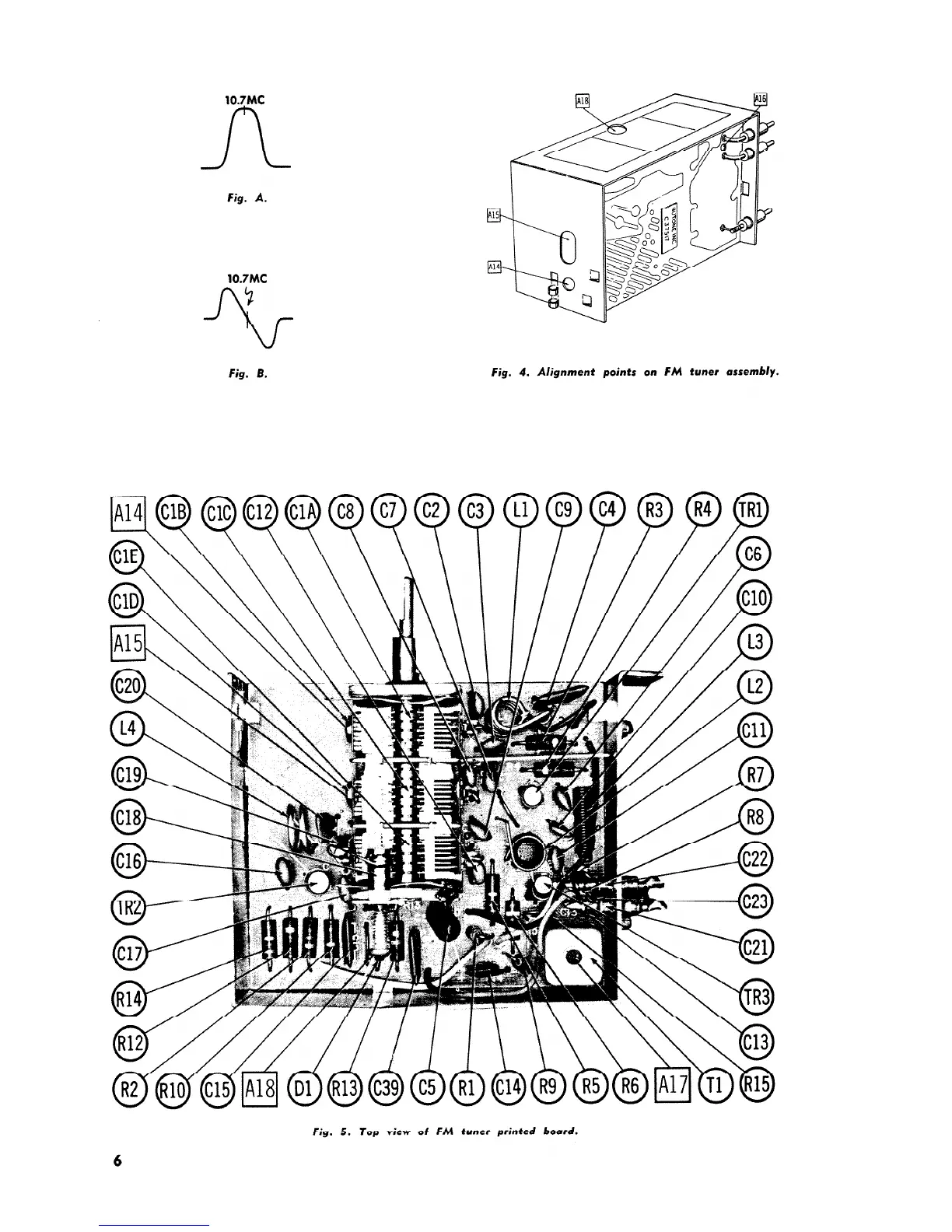 Page #6 background image