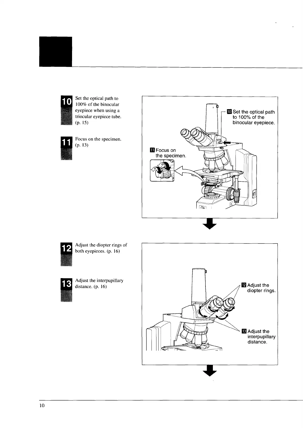 Page #11 background image