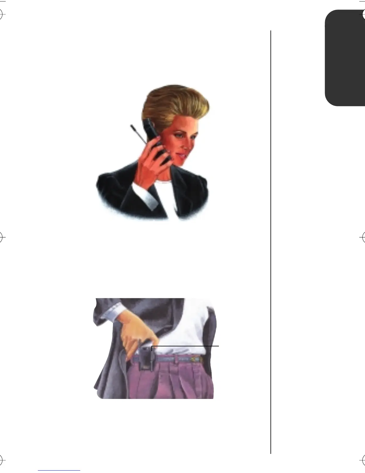 Page #29 background image