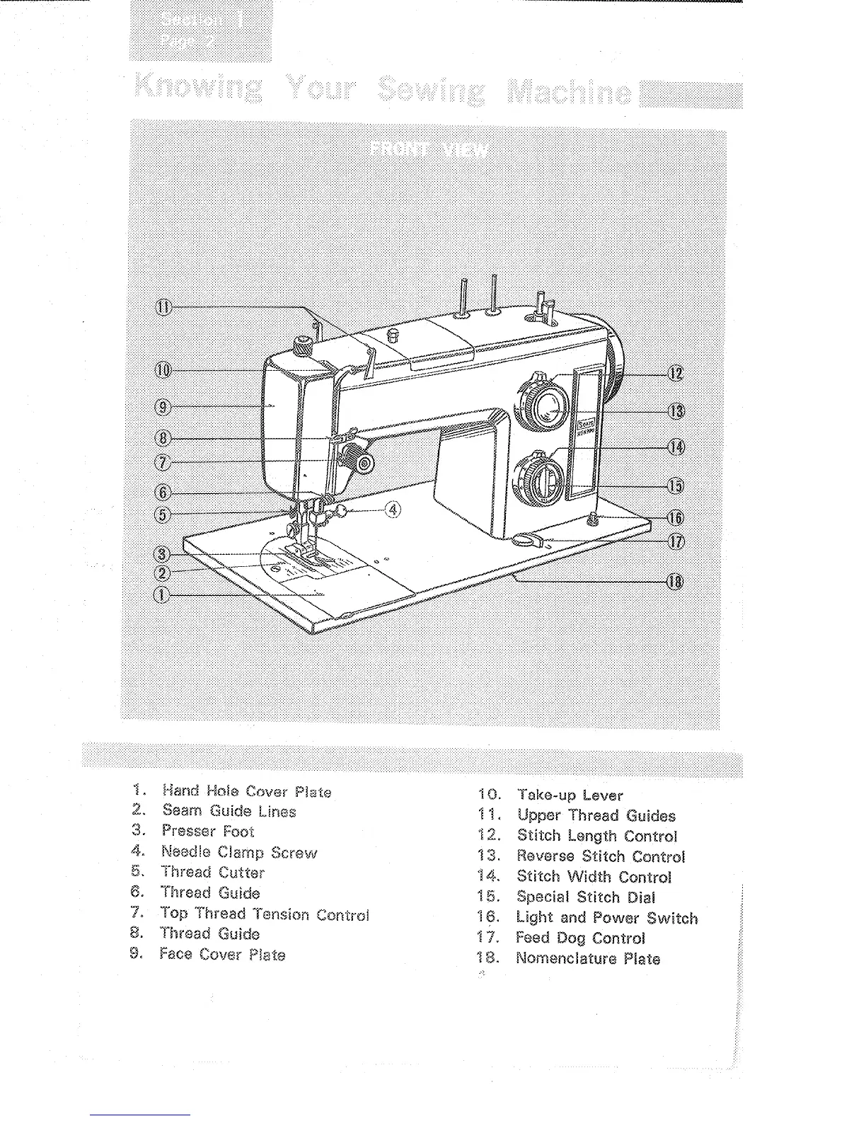 Page #4 background image