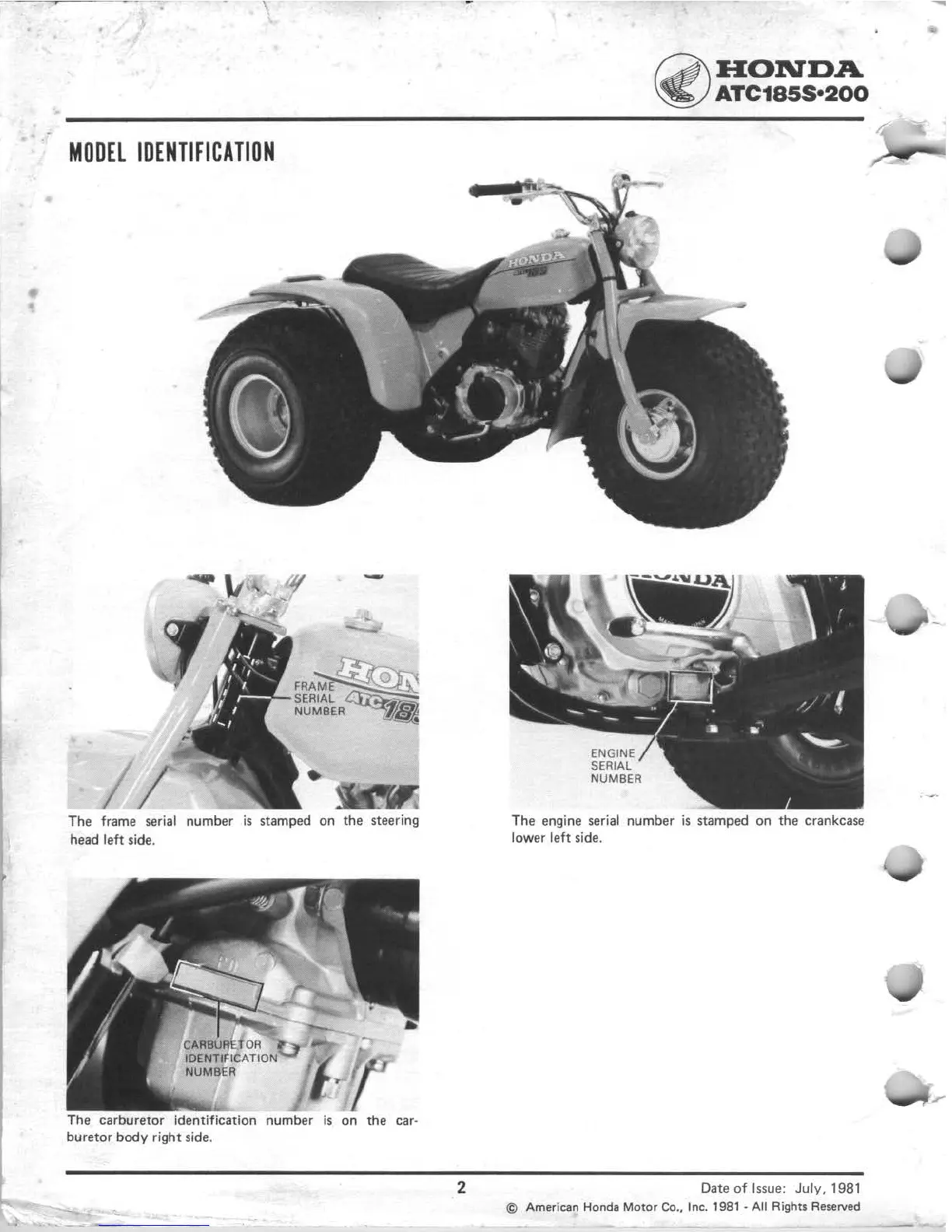 Page #4 background image