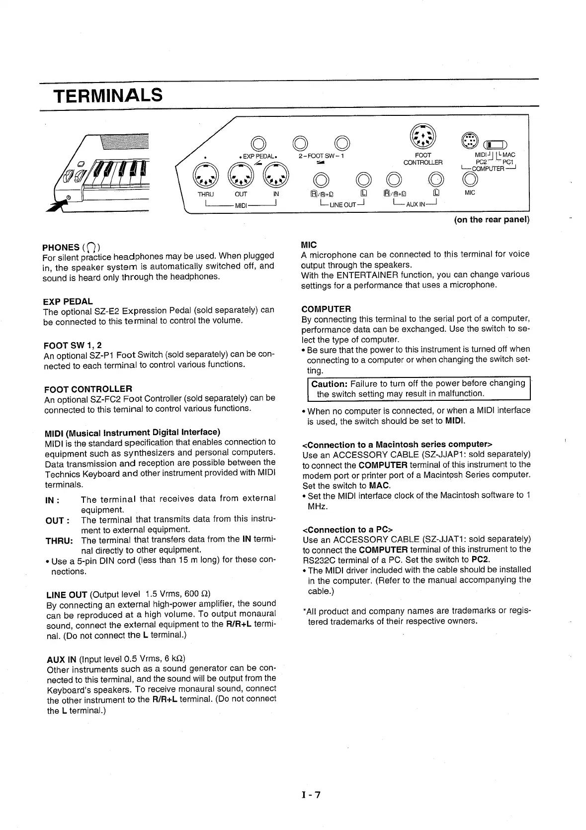 Page #6 background image
