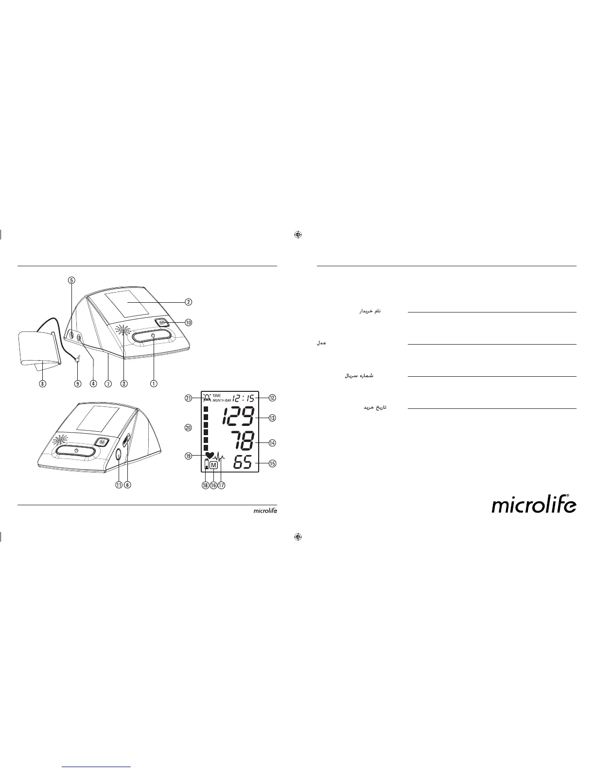 Page #2 background image