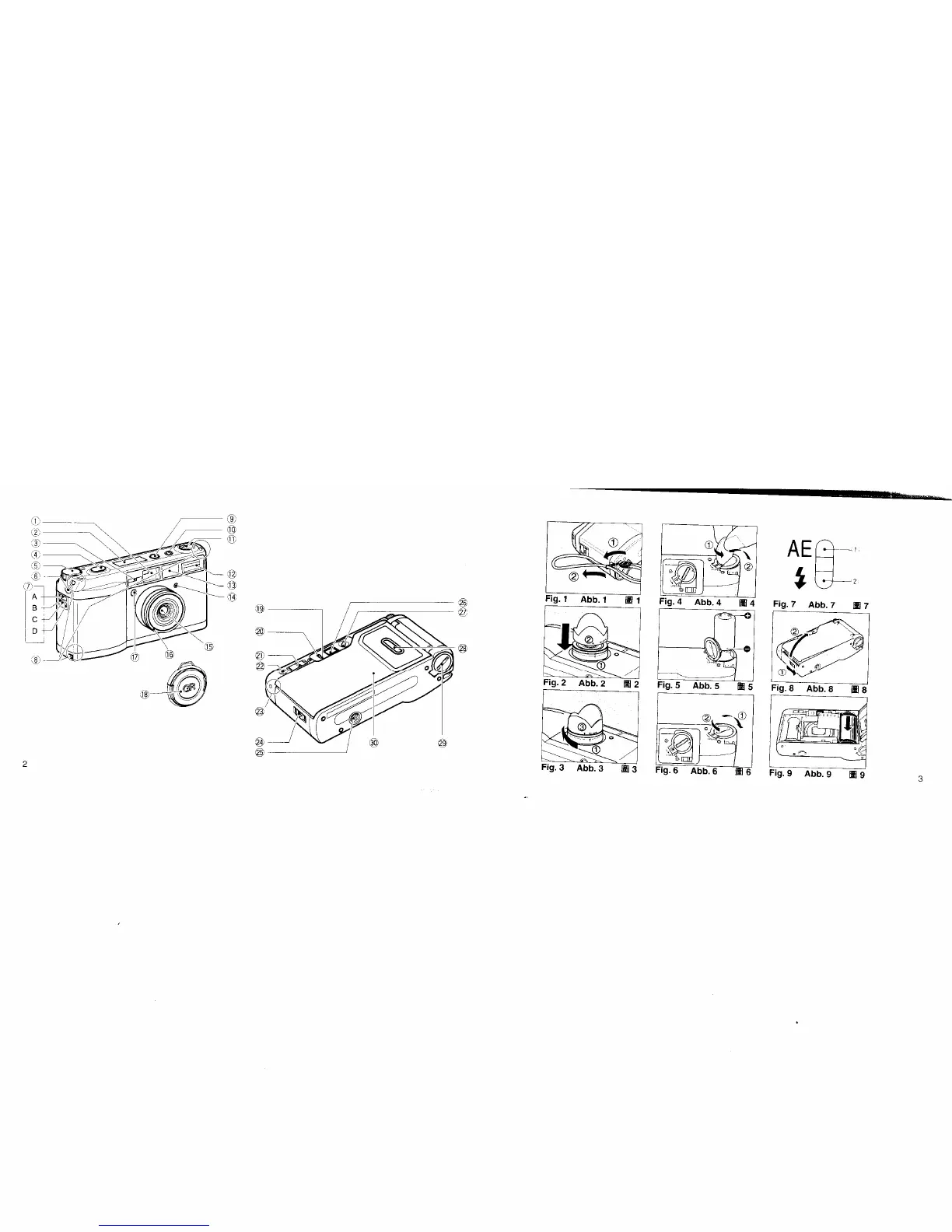 Page #2 background image