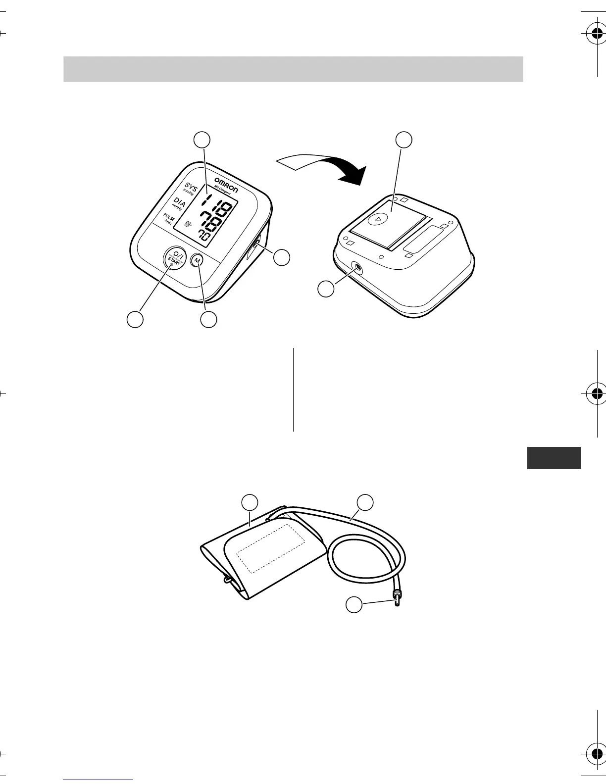 Page #7 background image
