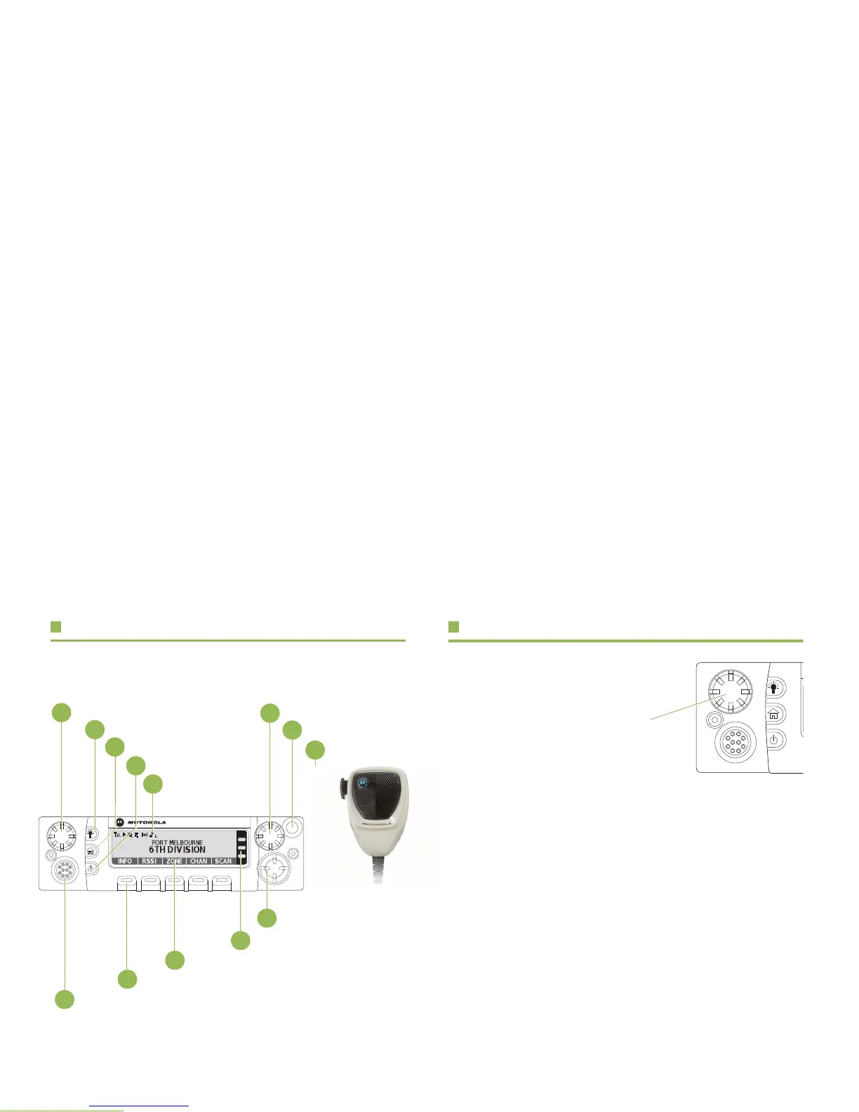 Page #7 background image