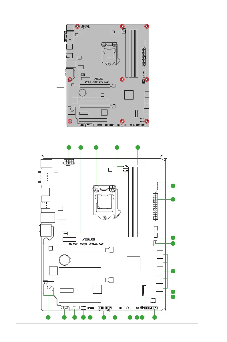 Page #10 background image