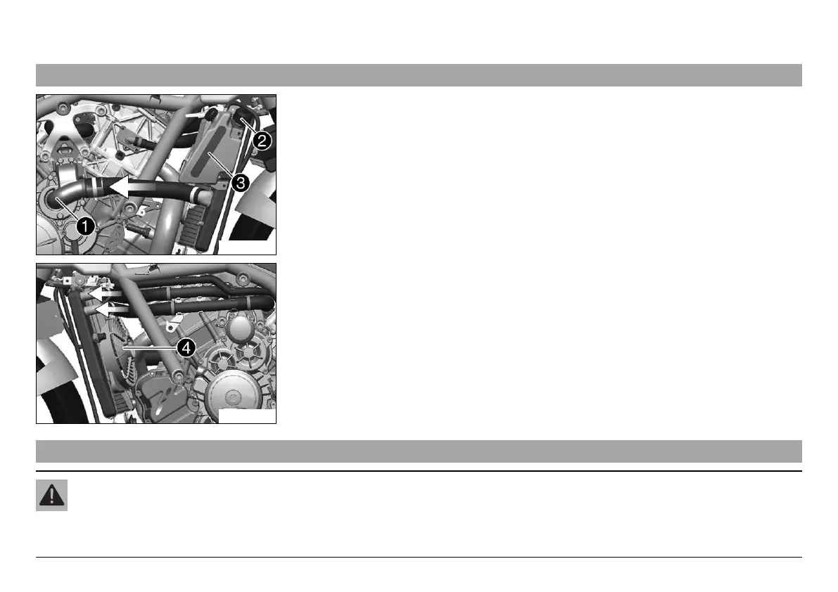Page #225 background image