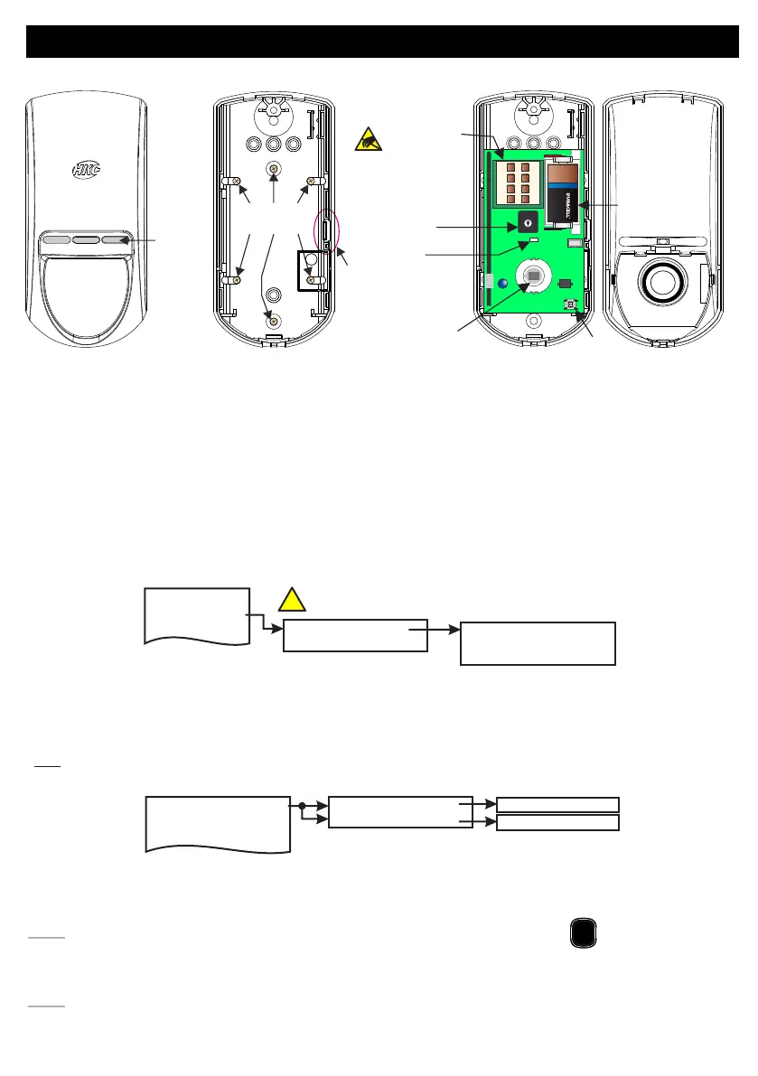Page #19 background image