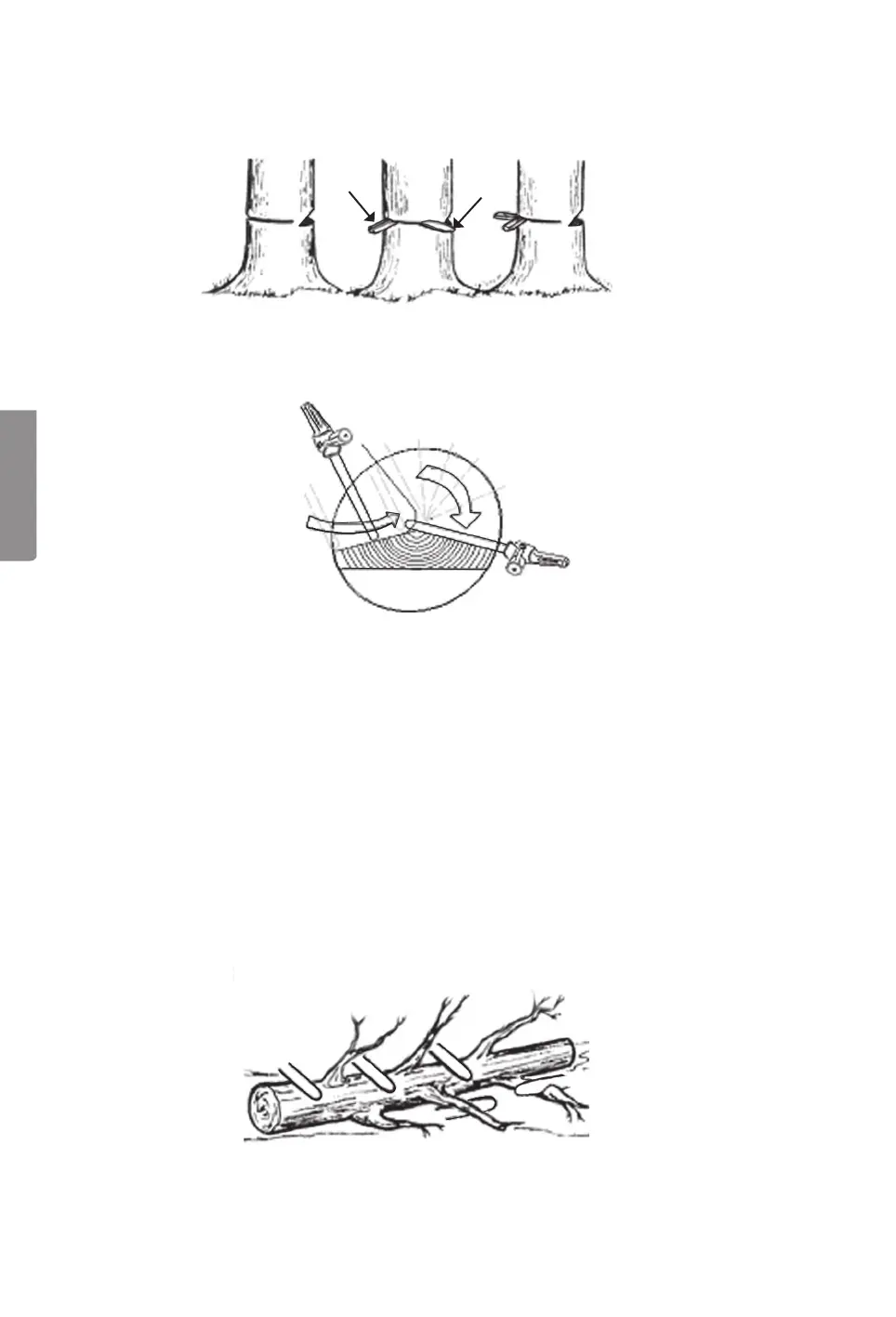 Page #50 background image
