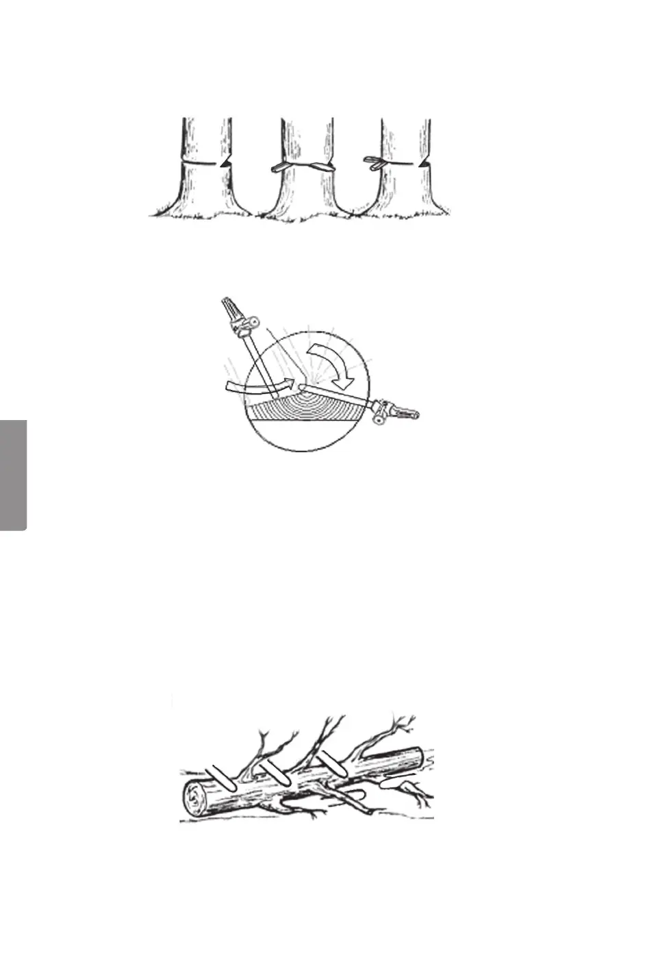 Page #68 background image