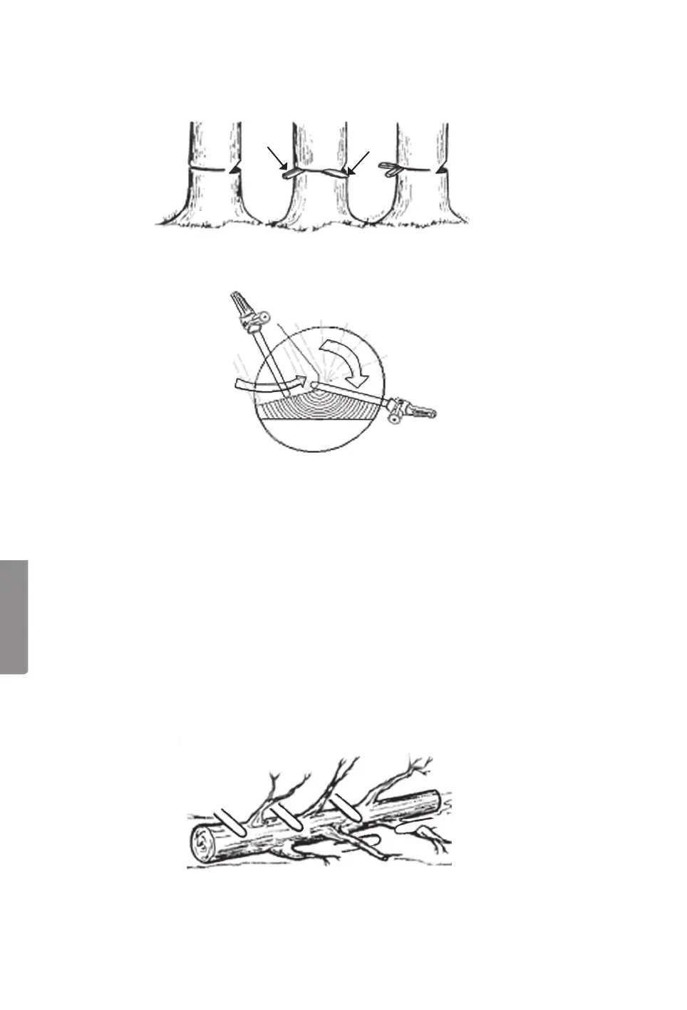 Page #86 background image