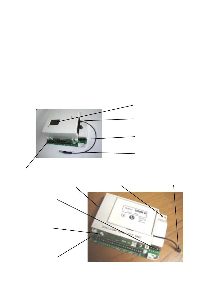 Page #4 background image