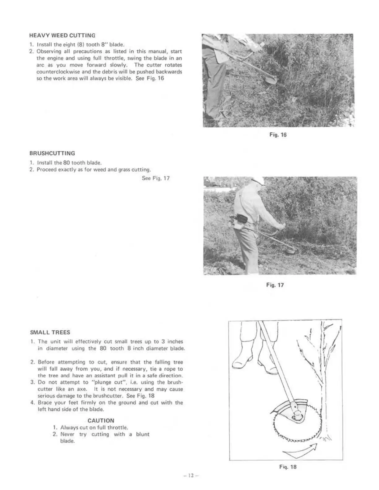 Page #13 background image