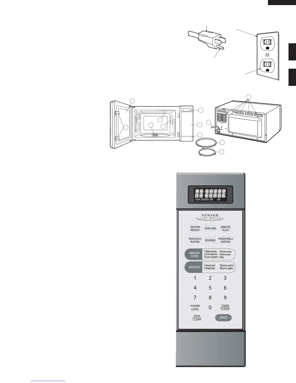 Page #7 background image