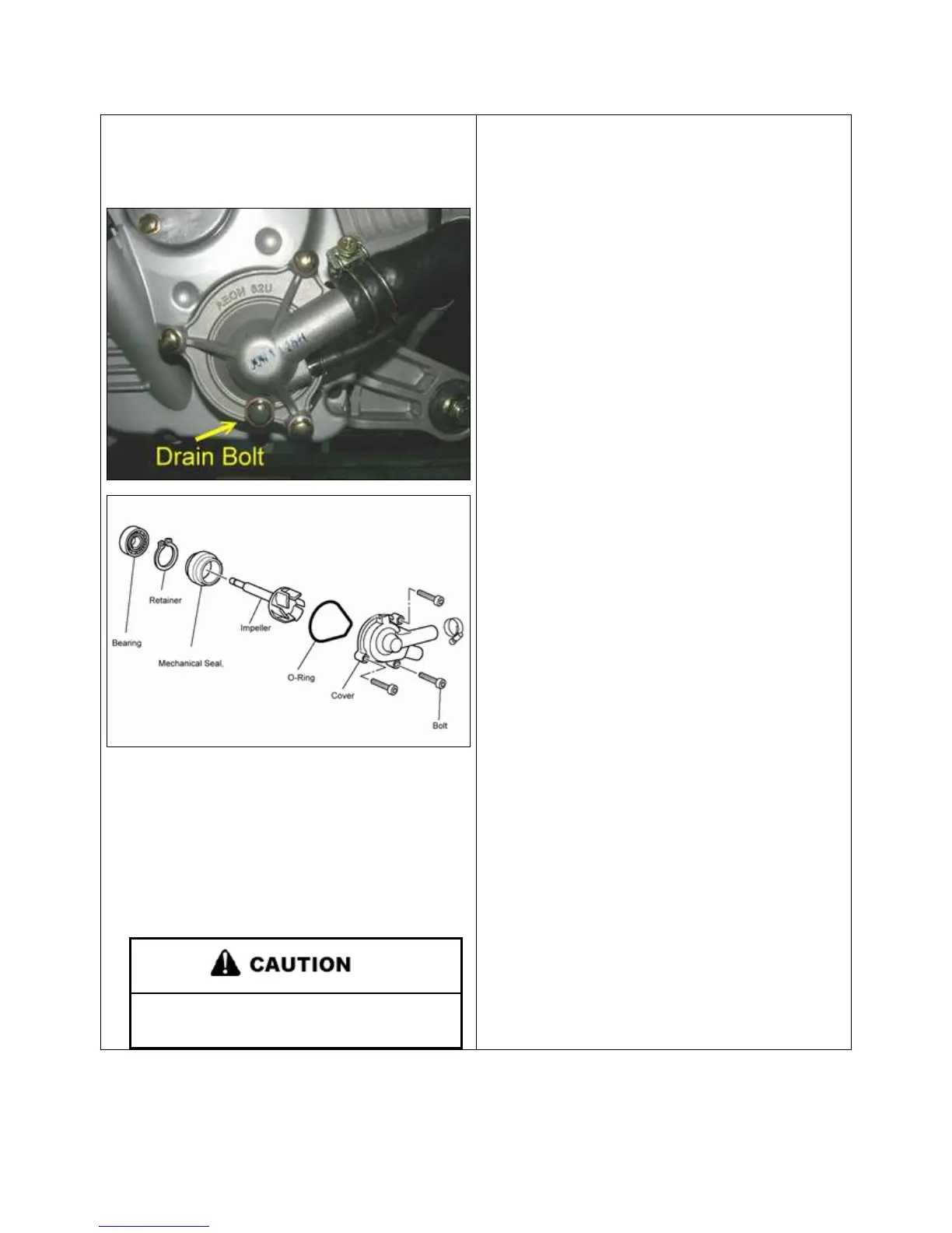 Page #52 background image