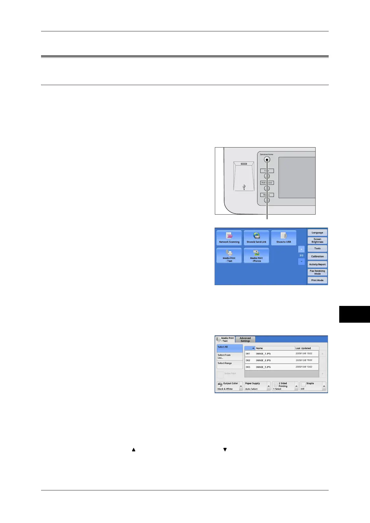 Page #319 background image