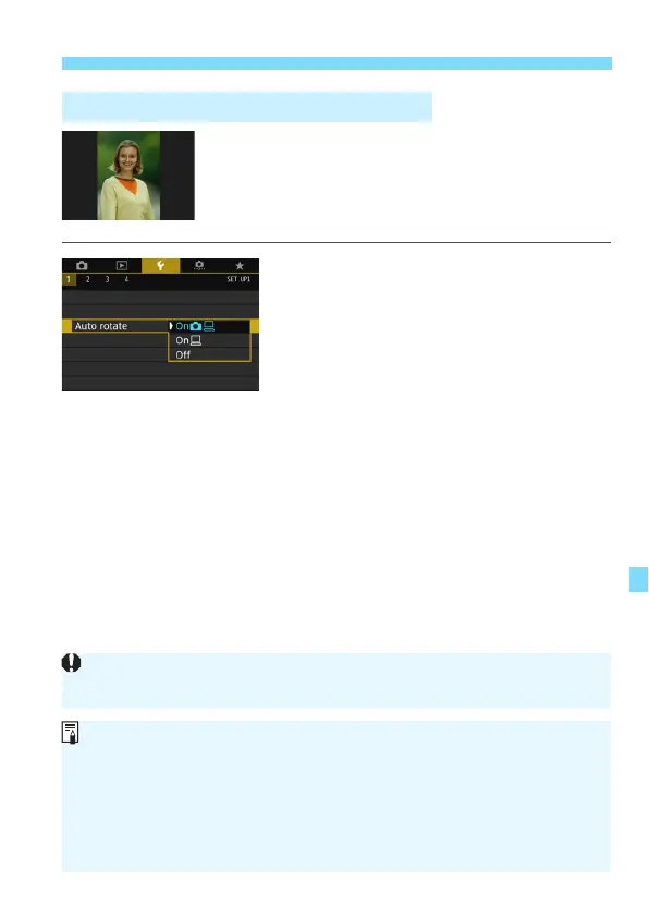 Page #387 background image