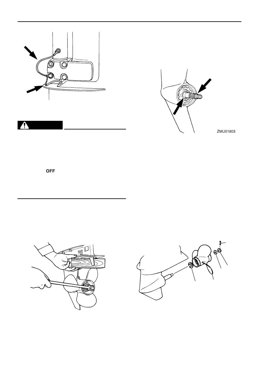 Page #77 background image
