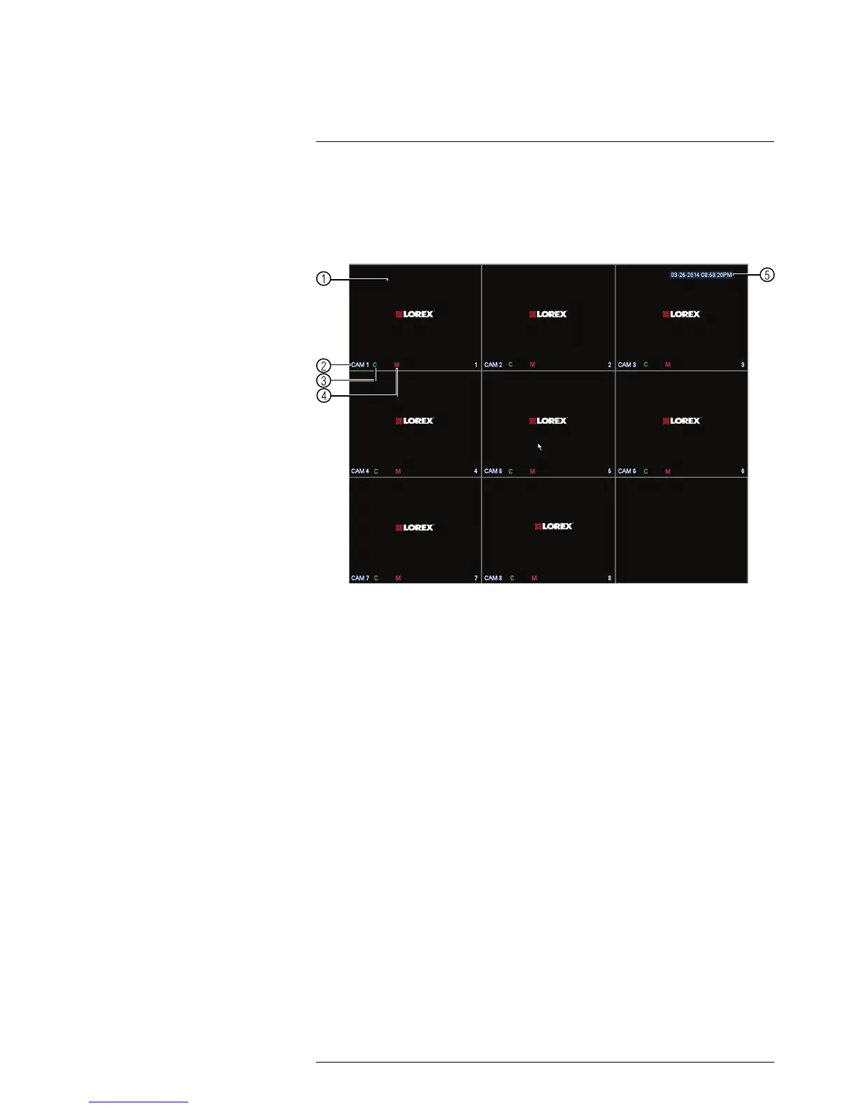 Page #31 background image