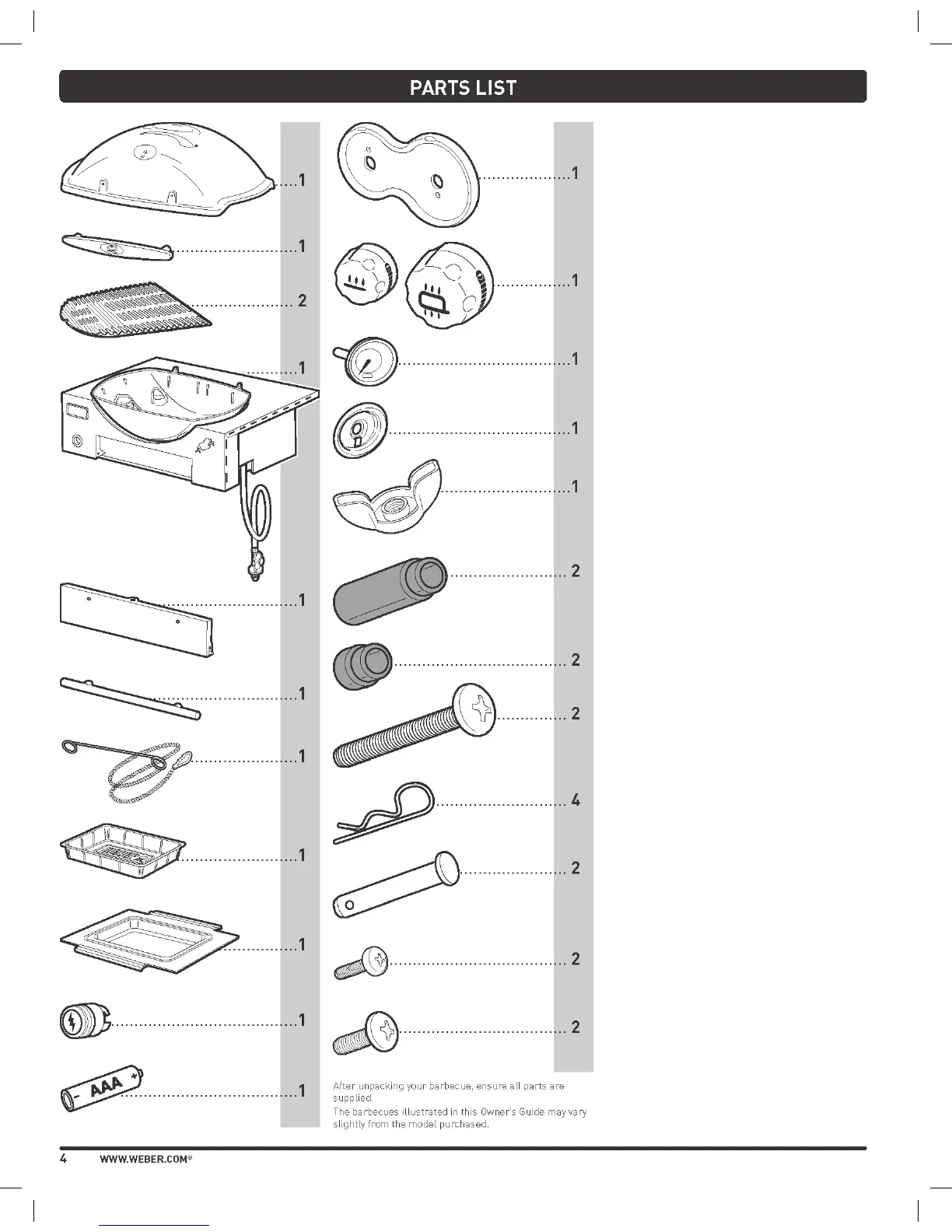 Page #4 background image