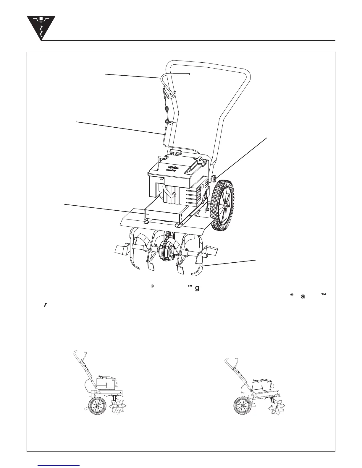 Page #8 background image