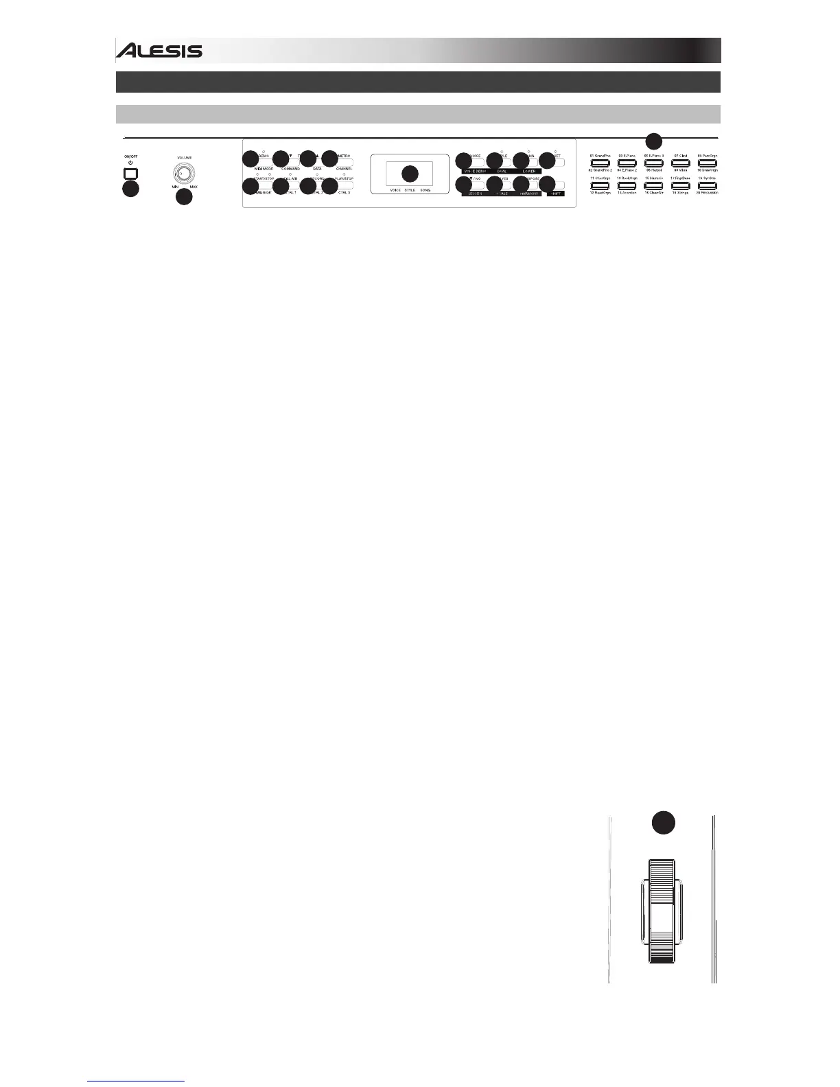Page #4 background image