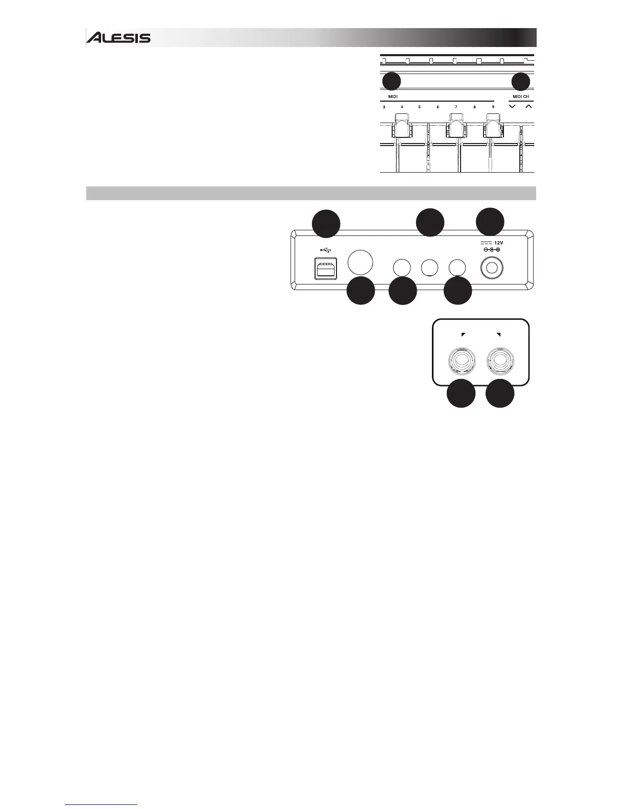 Page #6 background image