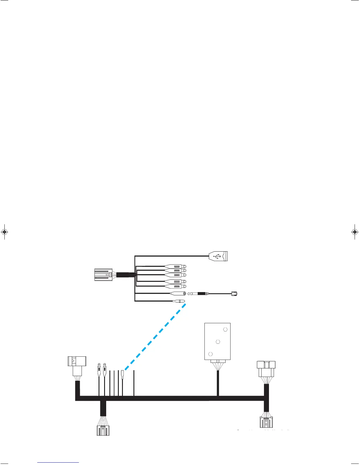 Page #2 background image