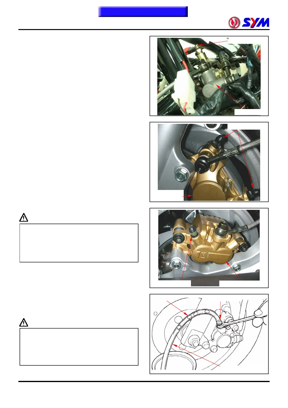 Page #219 background image