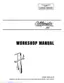 Preview: Workshop Manual