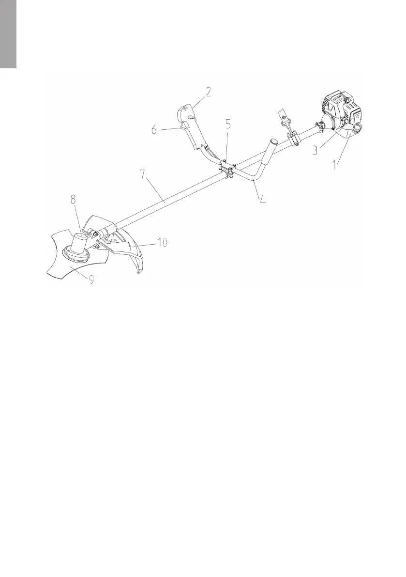 Page #10 background image