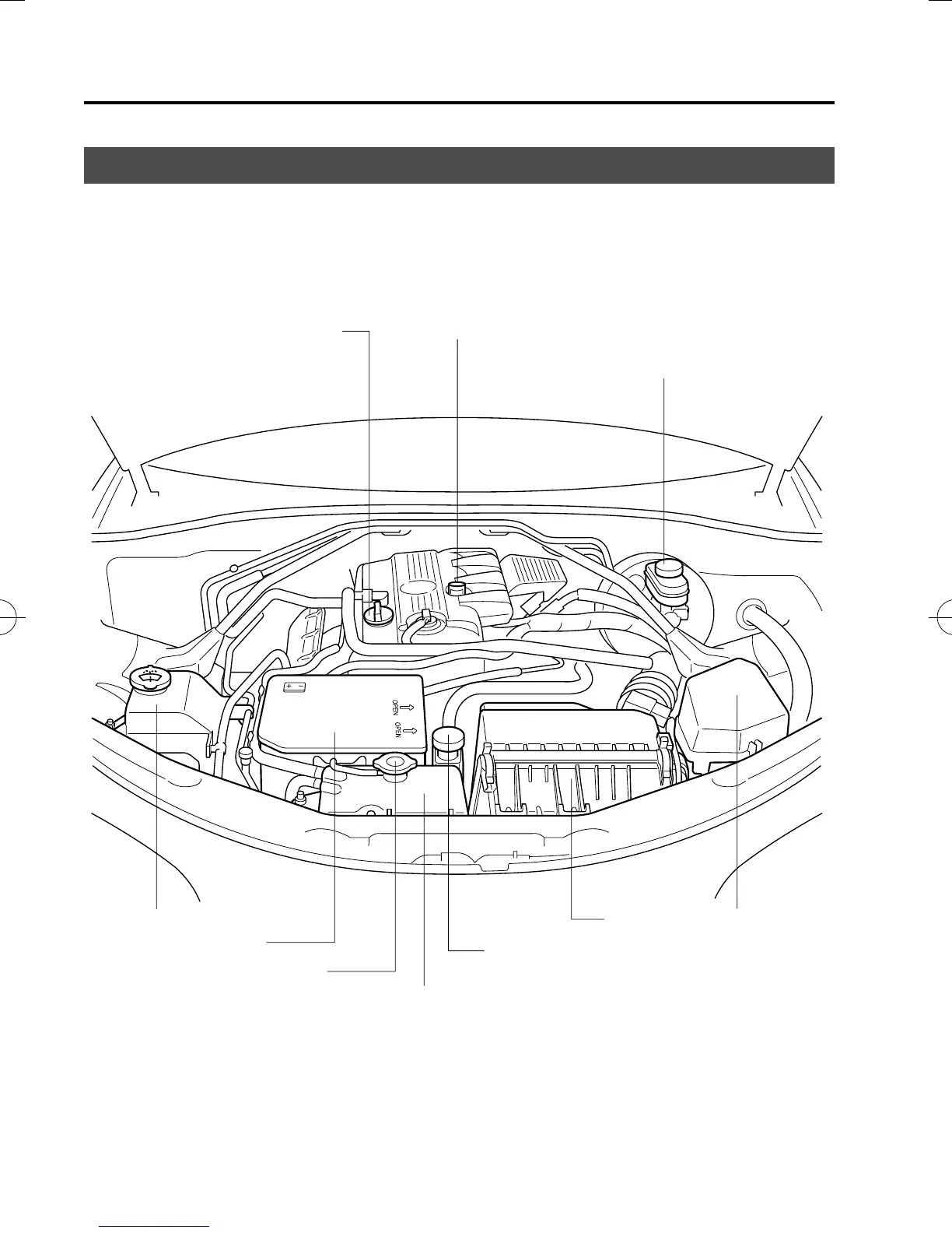 Page #308 background image