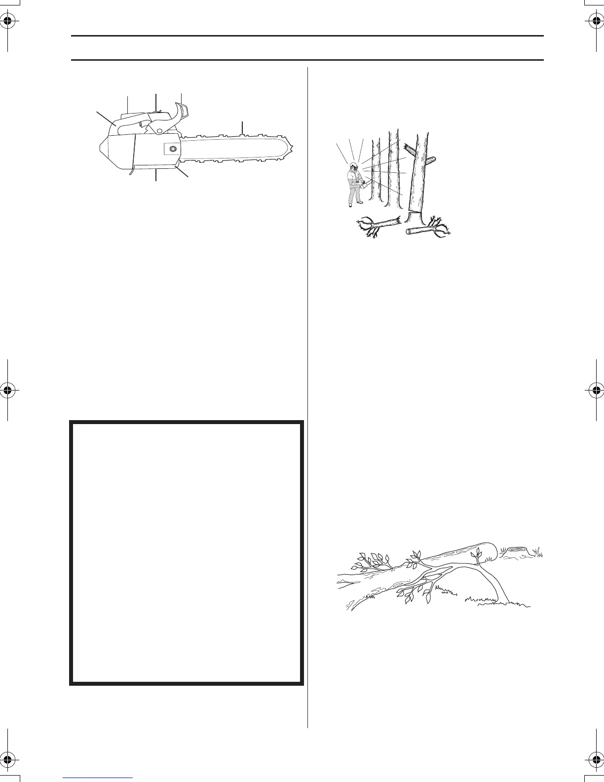 Page #139 background image