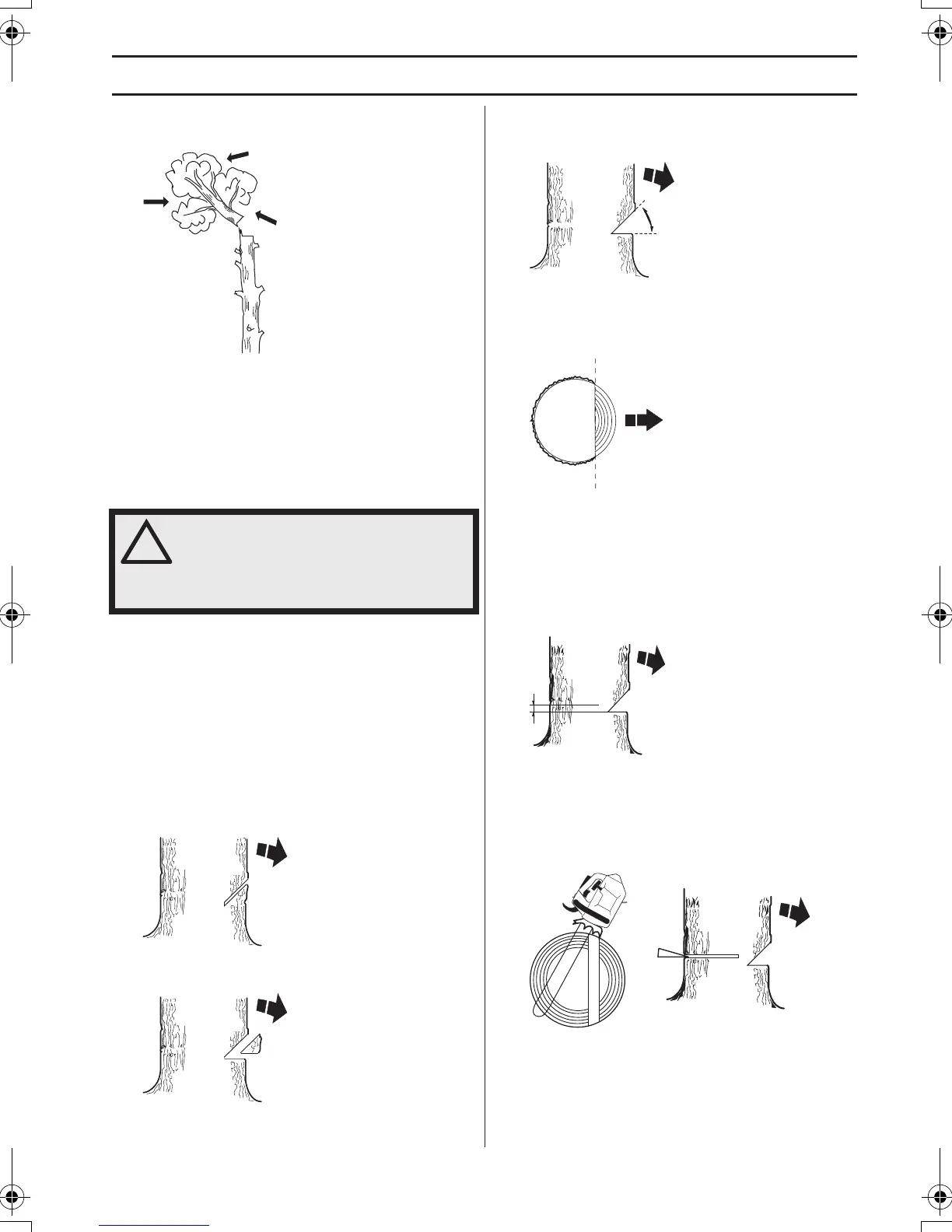 Page #223 background image