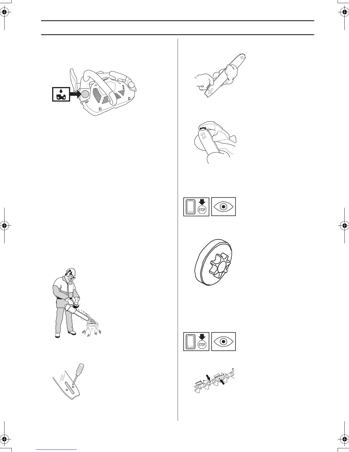 Page #251 background image