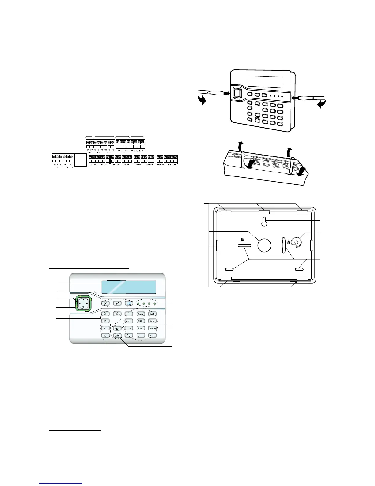 Page #9 background image