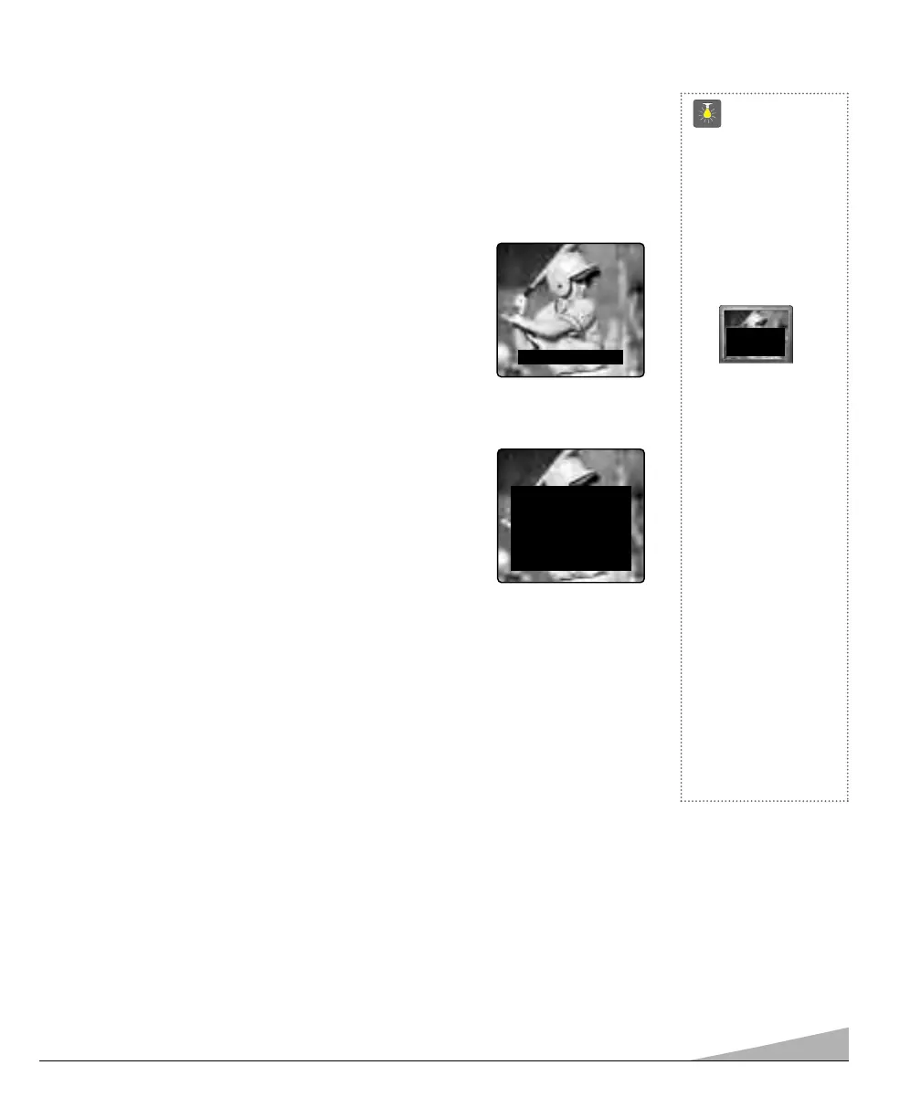 Page #57 background image
