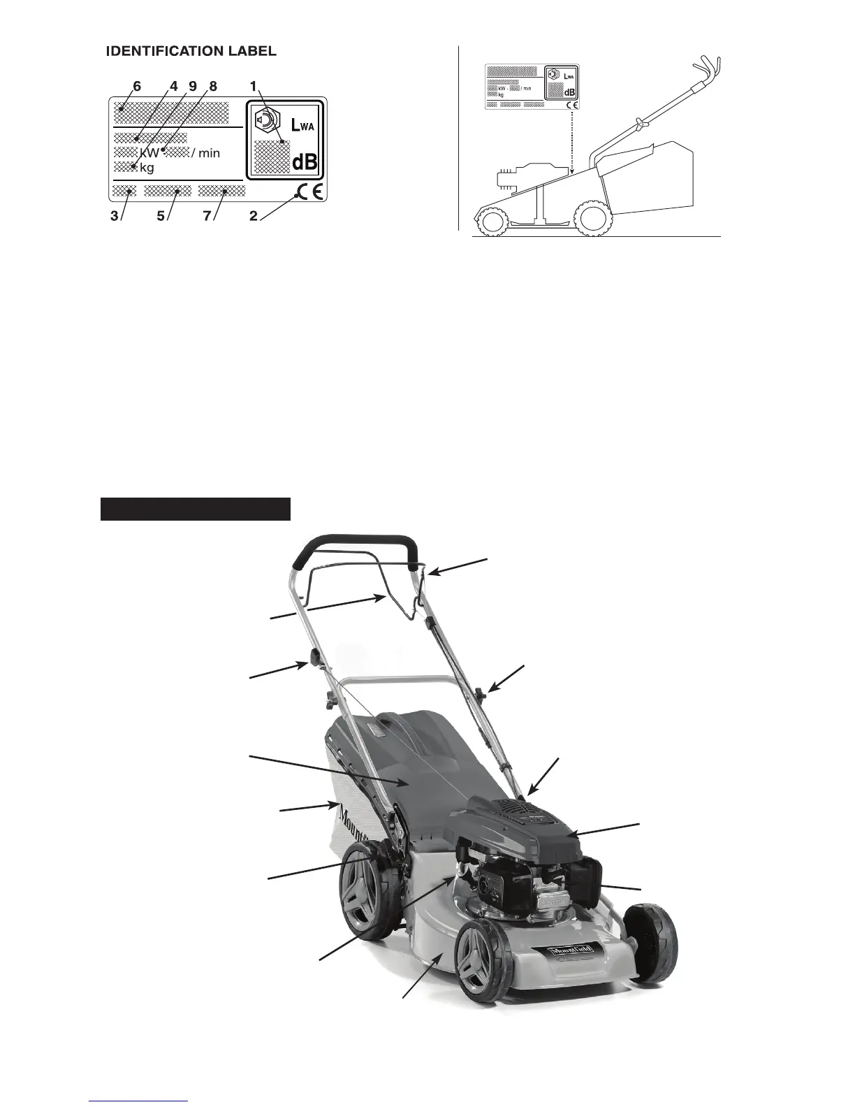 Page #4 background image