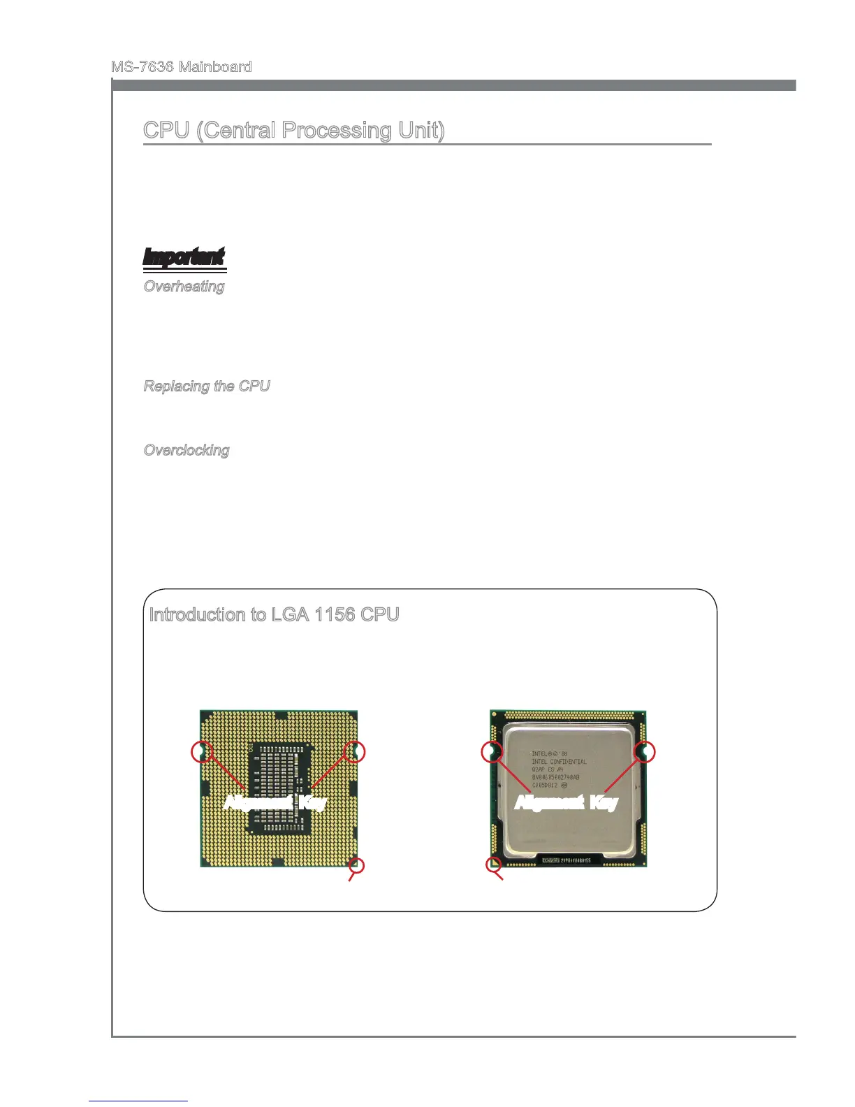 Page #16 background image