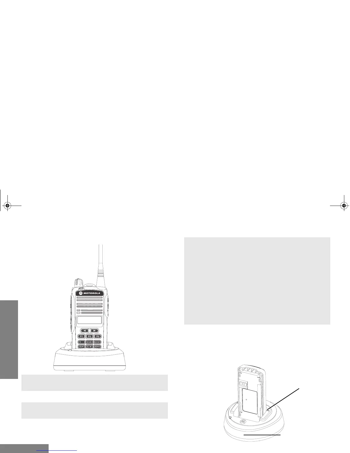 Page #222 background image