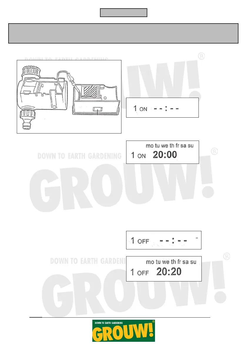 Page #13 background image