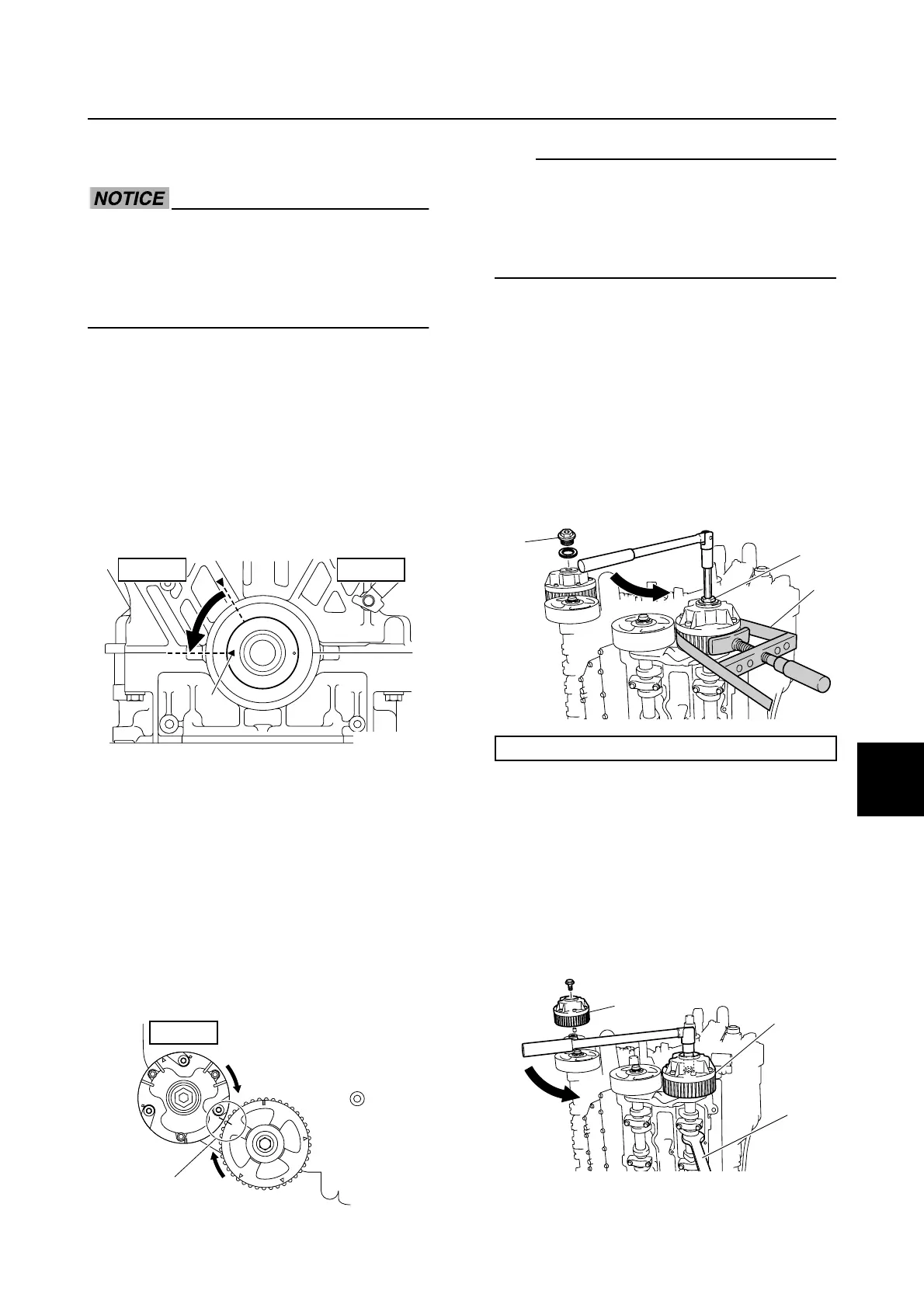 Page #307 background image