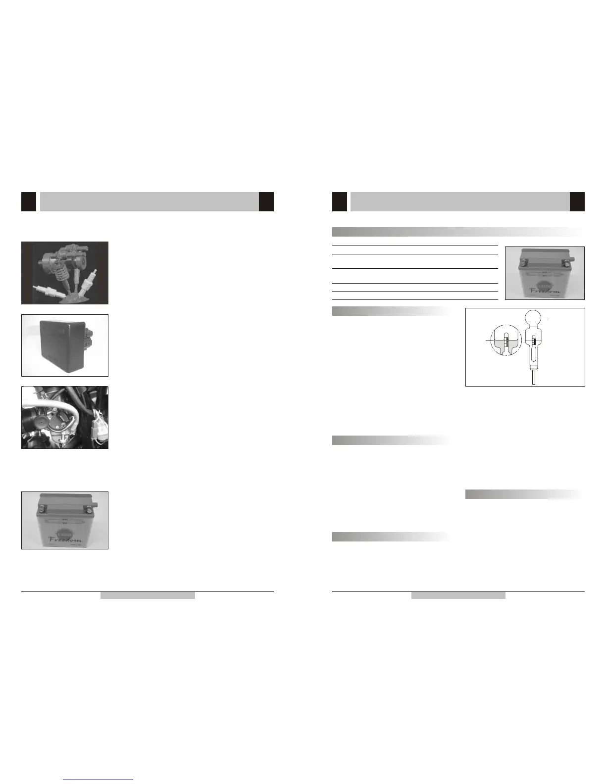 Page #31 background image