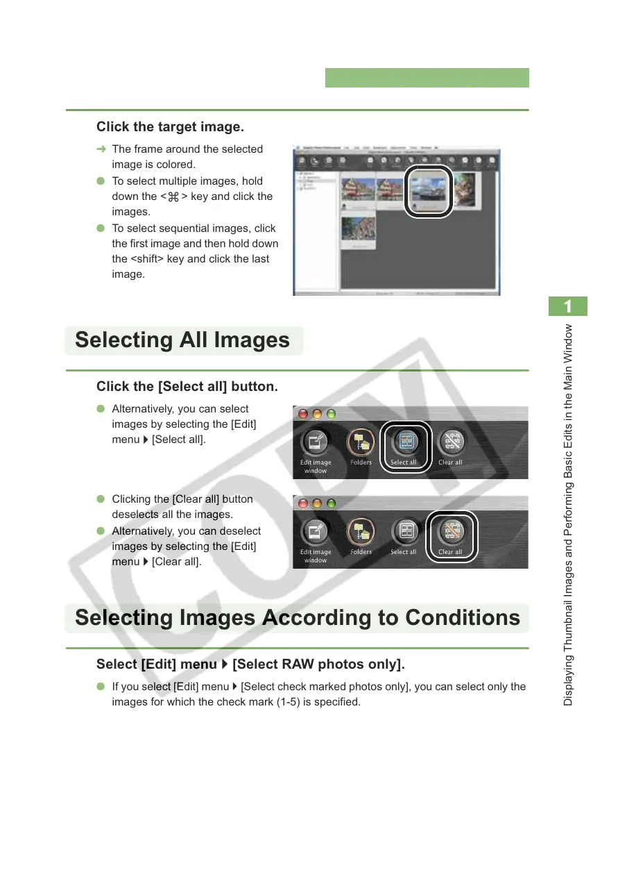 Page #17 background image