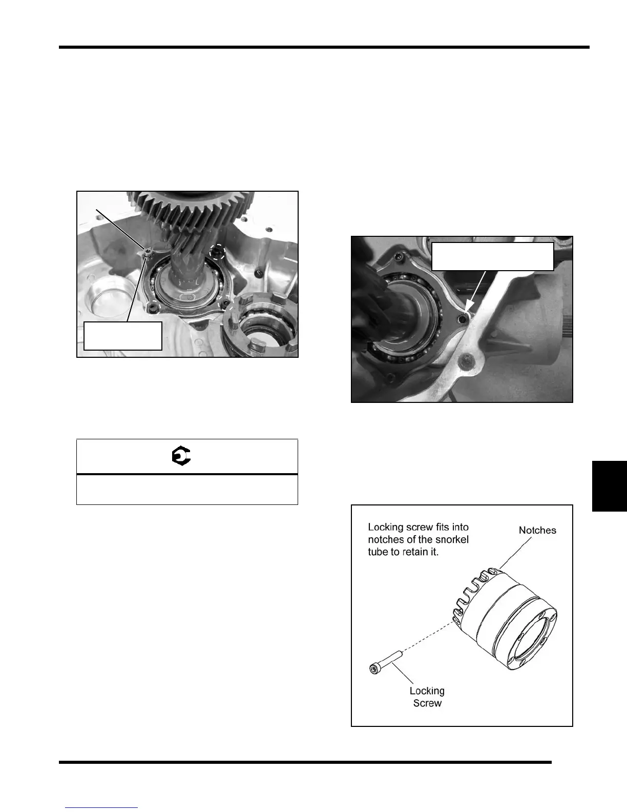 Page #319 background image