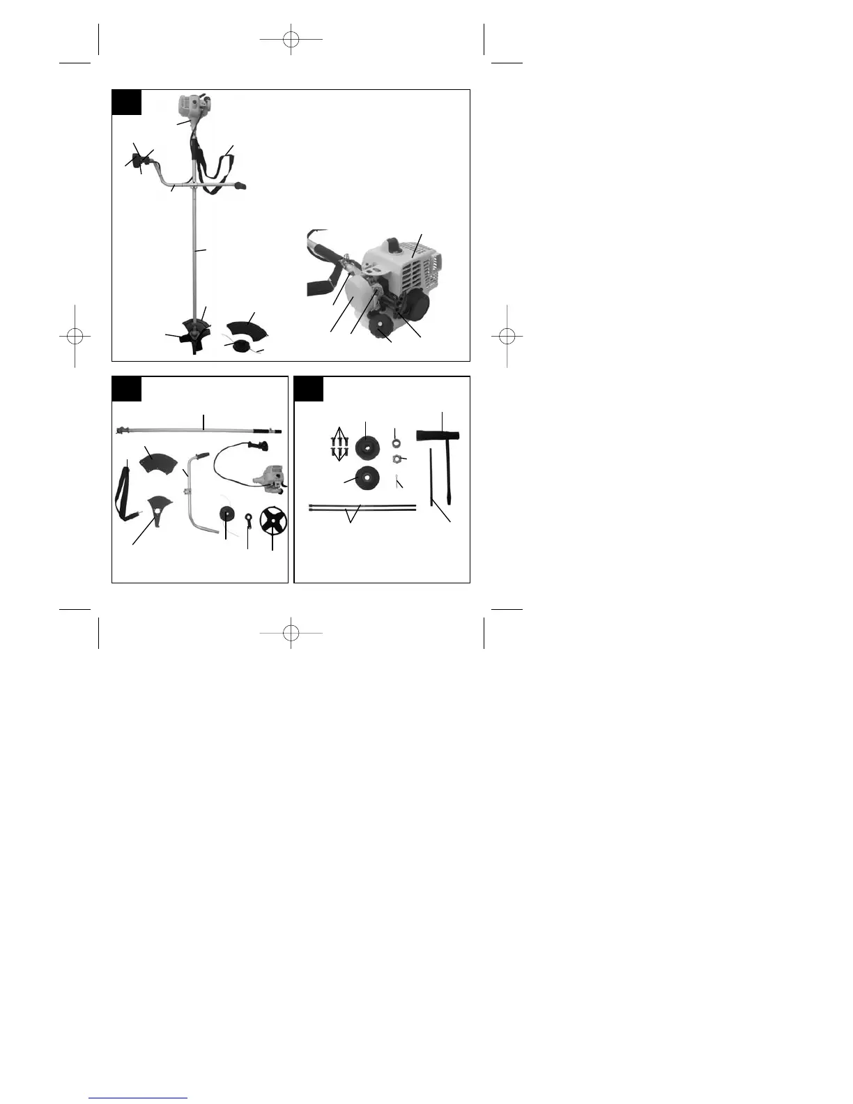 Page #3 background image