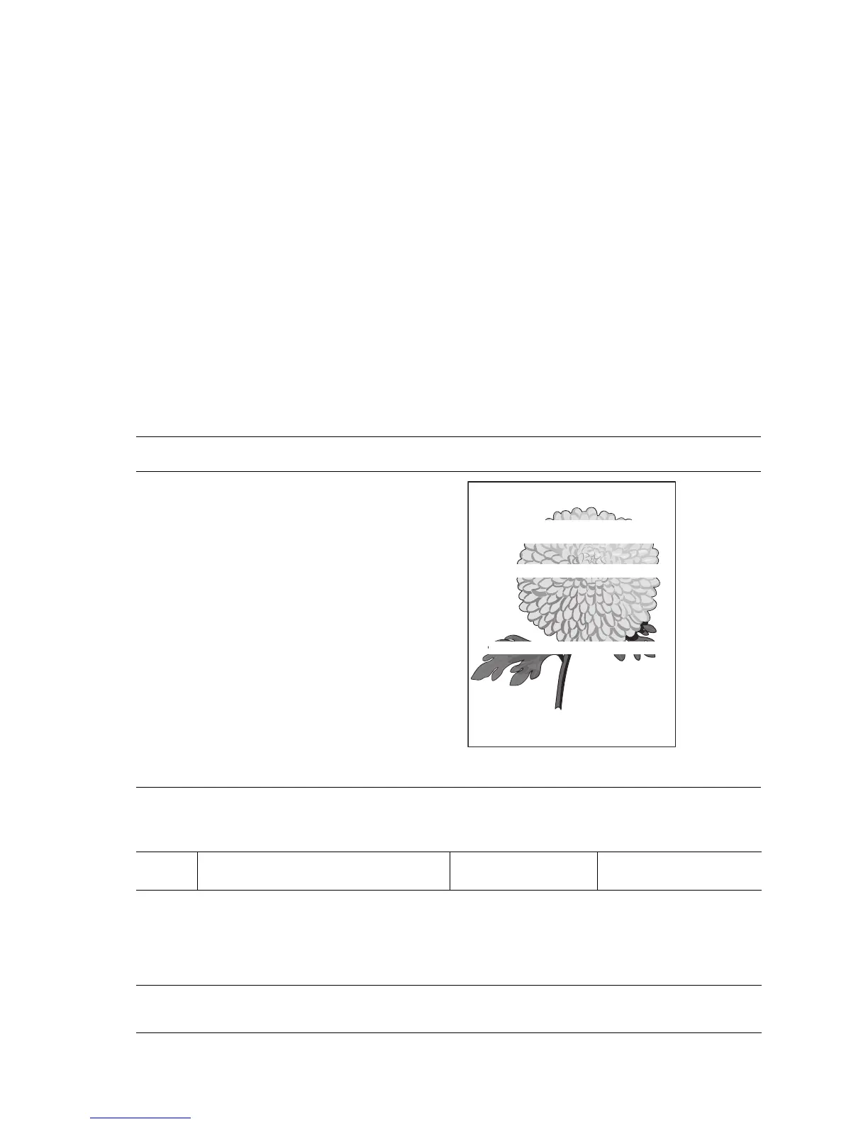 Page #369 background image